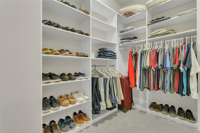 1938 Filly Trl, Oviedo, FL 32765 - walk in closet with carpet flooring
