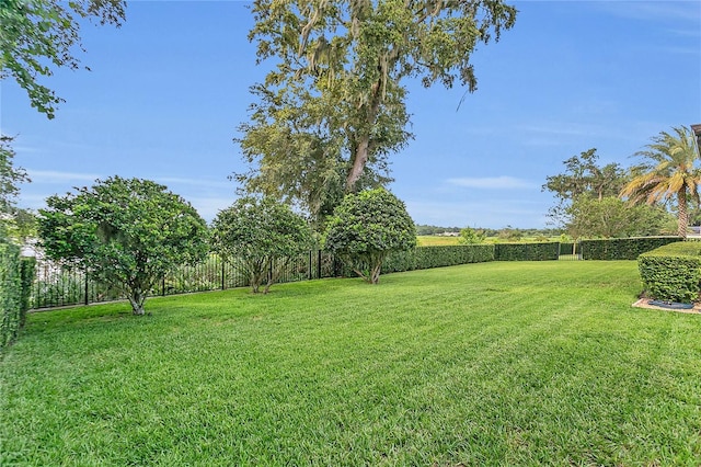1938 Filly Trl, Oviedo, FL 32765 - view of fenced backyard