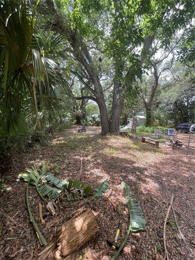 578 3rd St, Daytona Beach, FL 32117 - view of yard