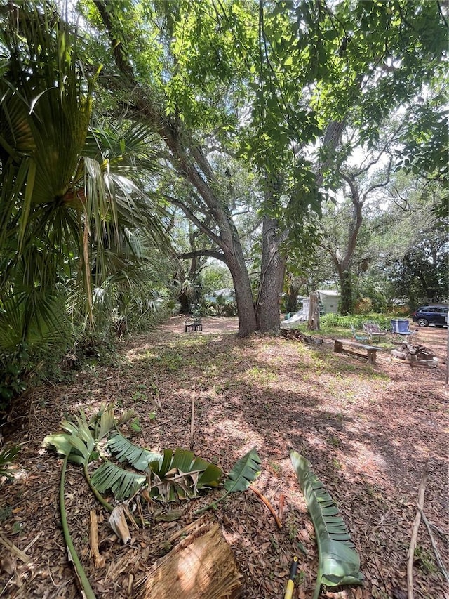578 3rd St, Daytona Beach, FL 32117 - view of yard