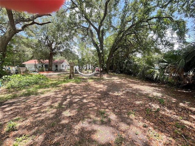 578 3rd St, Daytona Beach, FL 32117 - view of yard