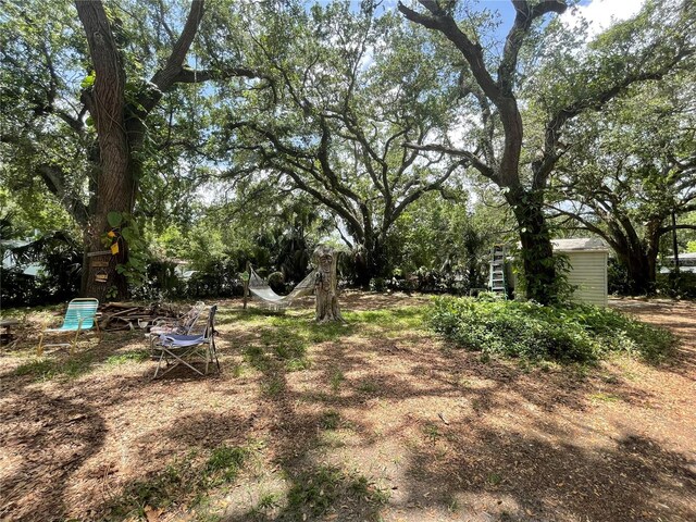 578 3rd St, Daytona Beach, FL 32117 - view of yard