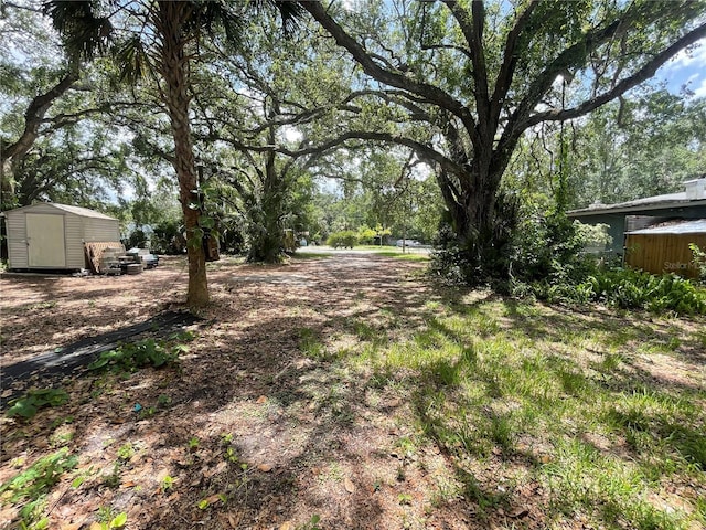 578 3rd St, Daytona Beach, FL 32117 - view of yard featuring a storage shed