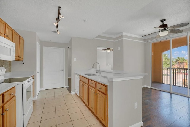 12414 Baleria Cv Unit 104, Orlando, FL 32837 - photo 10