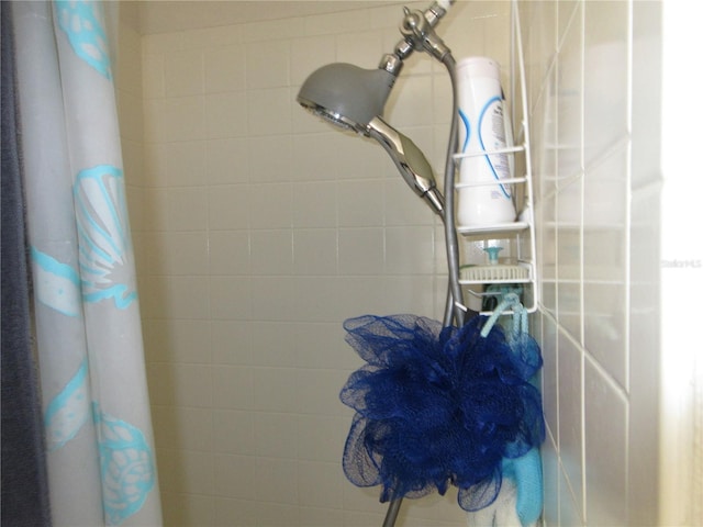 362 White Marsh Cir, Orlando, FL 32824 - bathroom view of a shower with curtain