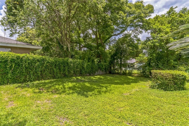 403 Broadview Ave, Altamonte Springs, FL 32701 - view of yard