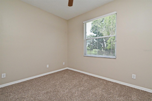 492 Lanarkshire Pl, Apopka, FL 32712 - photo 10