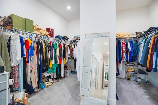 14189 Larkspur Lake Dr, Winter Garden, FL 34787 - spacious closet with carpet
