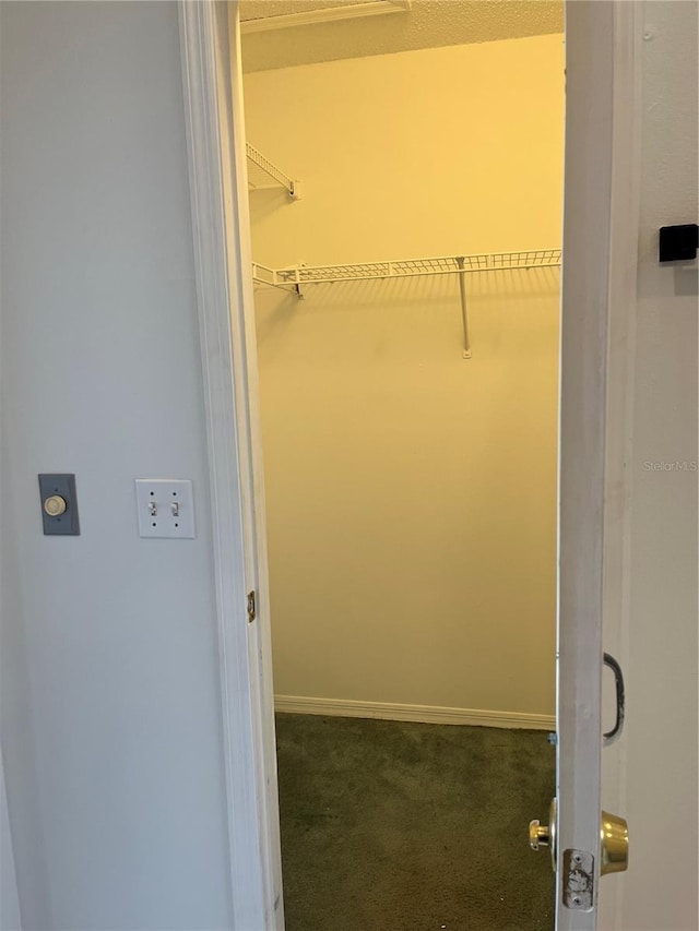 2421 Queenswood Cir, Kissimmee, FL 34743 - walk in closet with carpet flooring