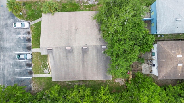 2404 SW 31st Pl, Gainesville, FL 32608 - photo 40