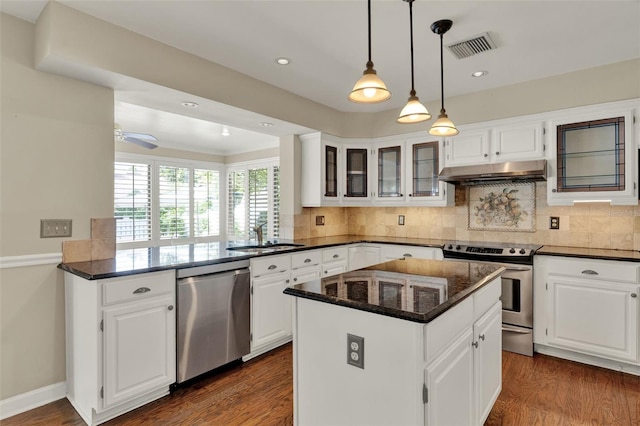 991 Hawthorne Cove Ct, Ocoee, FL 34761 - kitchen with stainless steel appliances, under cabinet range hood, dark wood-style flooring, glass insert cabinets, and recessed lighting