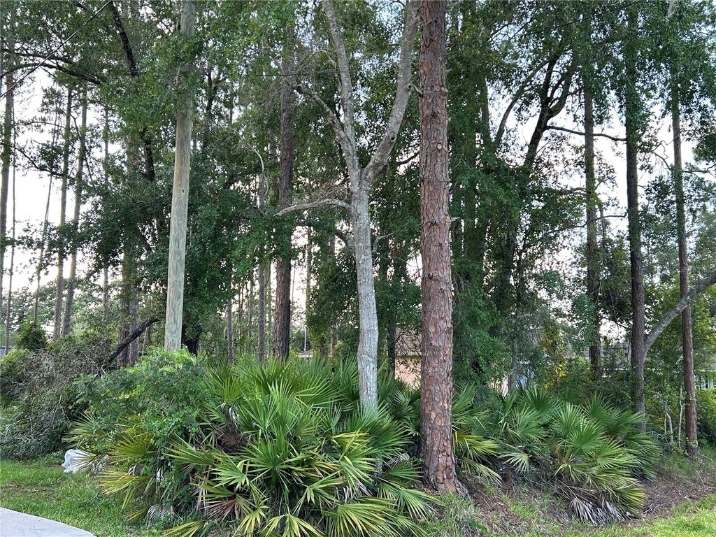 2050 10th Ave, Deland, FL 32724 - photo 1