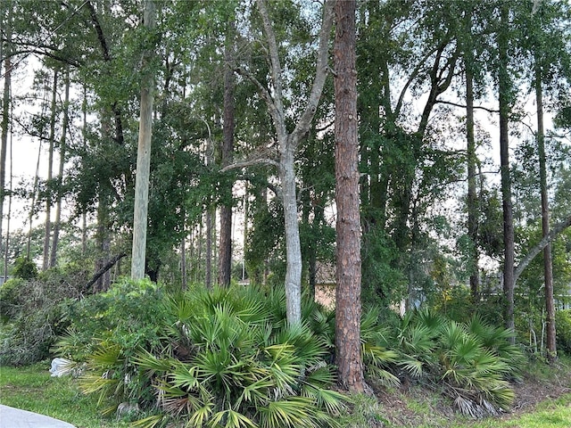 2050 10th Ave, Deland, FL 32724 - photo 1