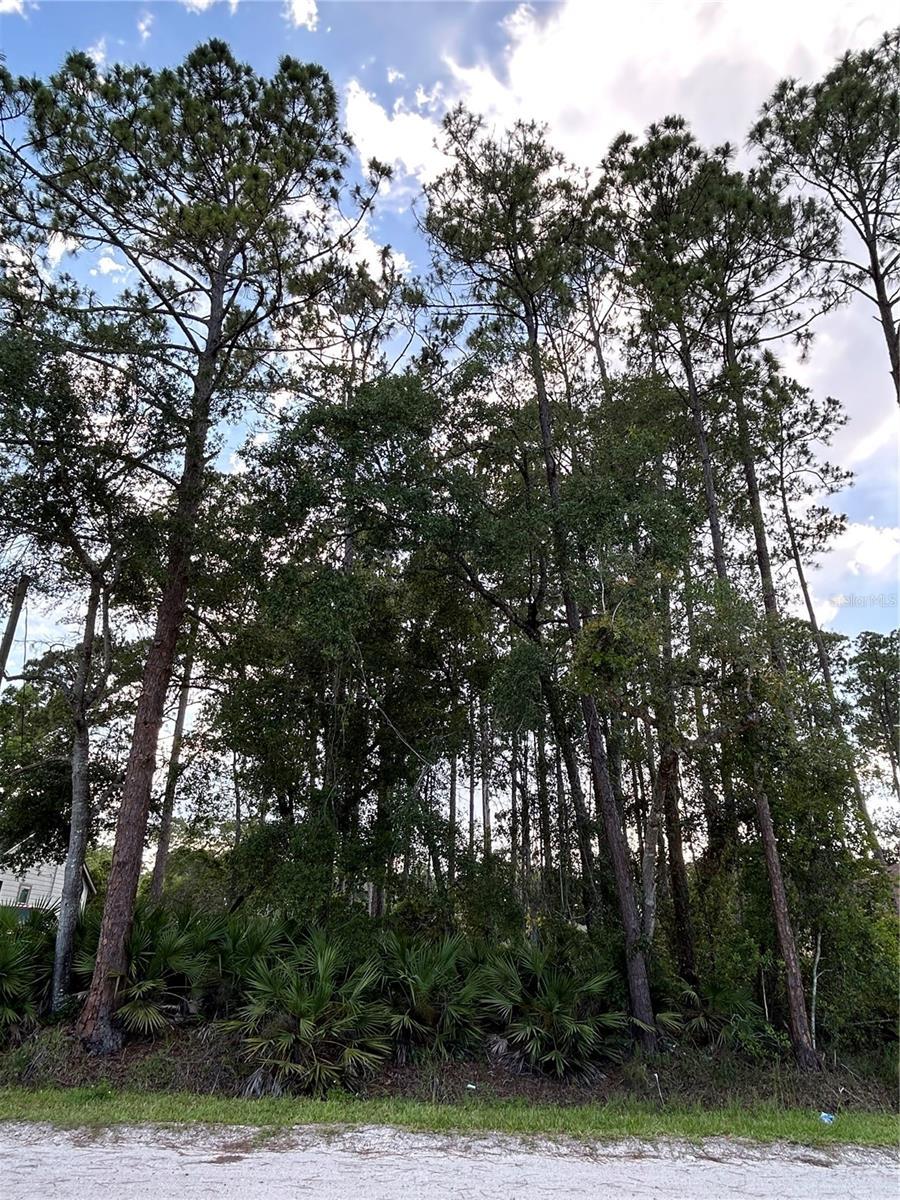 2050 10th Ave, Deland, FL 32724 - photo 2