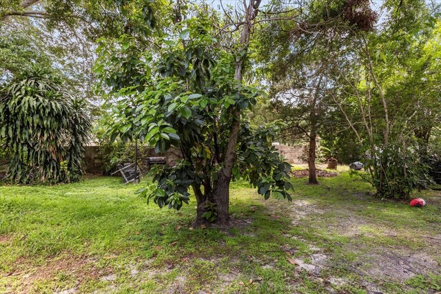 1234 Tino Ct, Orlando, FL 32825 - photo 32