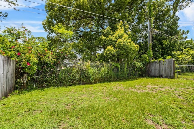 8116 Parrot Dr, Orlando, FL 32825 - view of yard