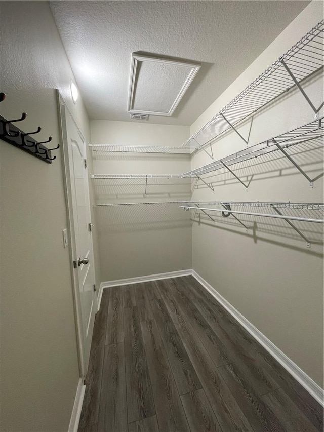 3975 Silverstream Ter, Sanford, FL 32771 - walk in closet with dark wood-style flooring and attic access