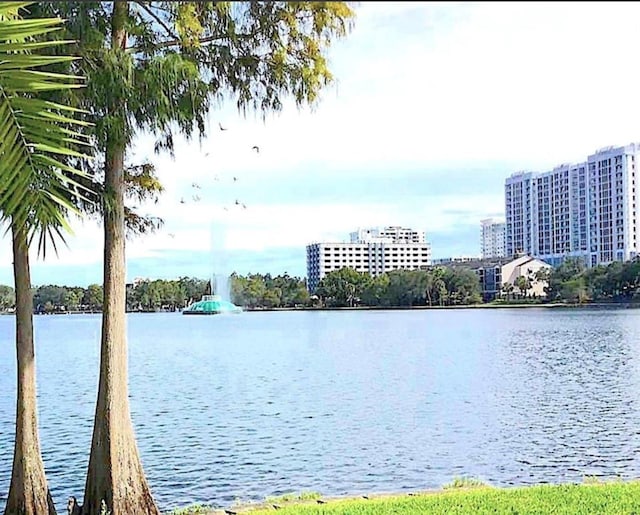 151 E Washington St Unit 508, Orlando, FL 32801 - water view
