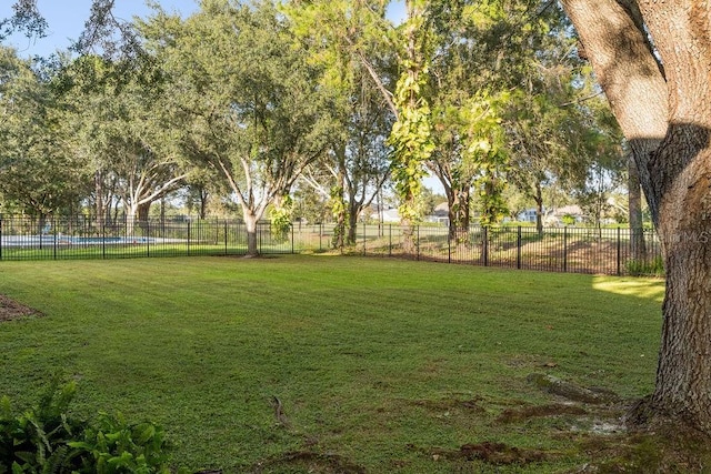 6047 Blakeford Dr, Windermere, FL 34786 - view of yard