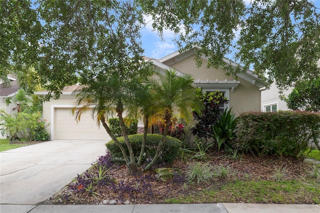 13850 Amelia Pond Dr, Windermere, FL 34786 - photo 2