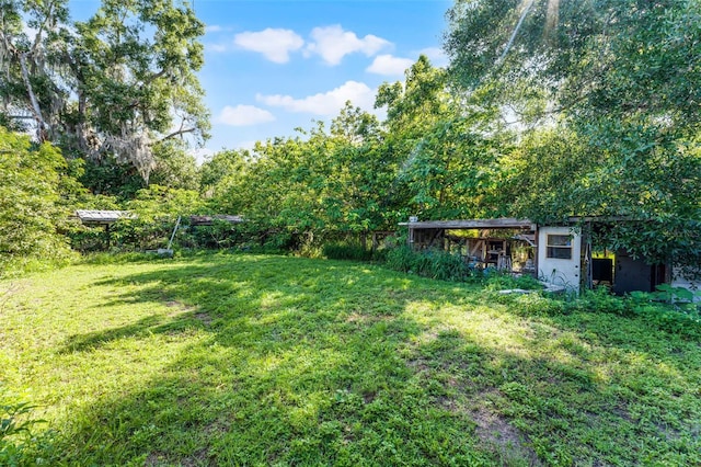 2915 Dean Ridge Rd, Orlando, FL 32825 - view of green lawn