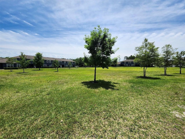 3281 Chestnut Ridge Way, Orange Park, FL 32065 - view of grassy yard