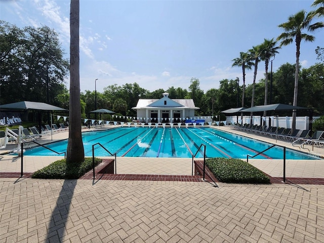 3281 Chestnut Ridge Way, Orange Park, FL 32065 - community pool with a patio area and view of scattered trees