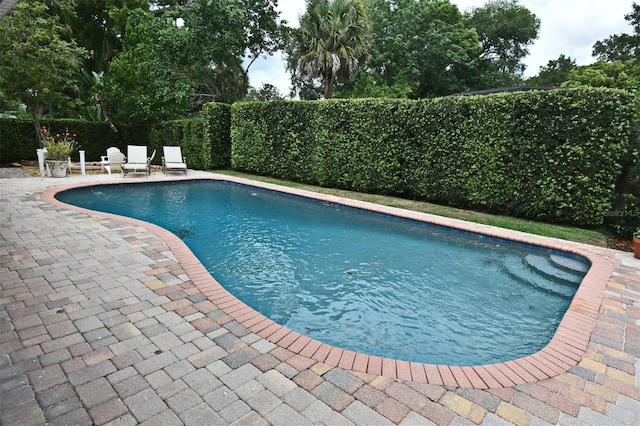 1653 Cheyenne Trl, Maitland, FL 32751 - view of pool with a patio and a fenced backyard