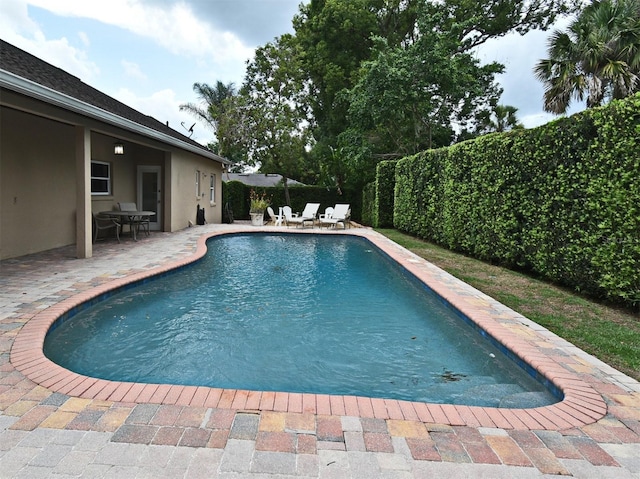 1653 Cheyenne Trl, Maitland, FL 32751 - view of swimming pool with a patio area and a fenced backyard