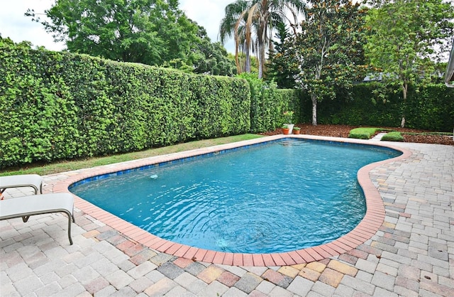 1653 Cheyenne Trl, Maitland, FL 32751 - view of swimming pool with a patio and a fenced backyard