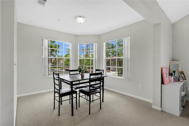 900 Northern Dancer Way Unit 204, Casselberry, FL 32707 - dining room with carpet flooring