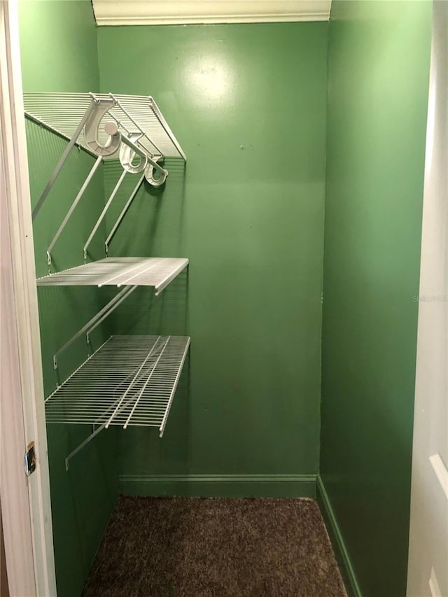 1910 NW 13th Pl, Ocala, FL 34475 - walk in closet featuring carpet floors
