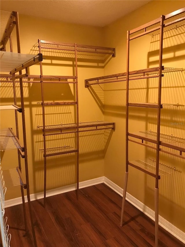 1910 NW 13th Pl, Ocala, FL 34475 - walk in closet featuring wood finished floors