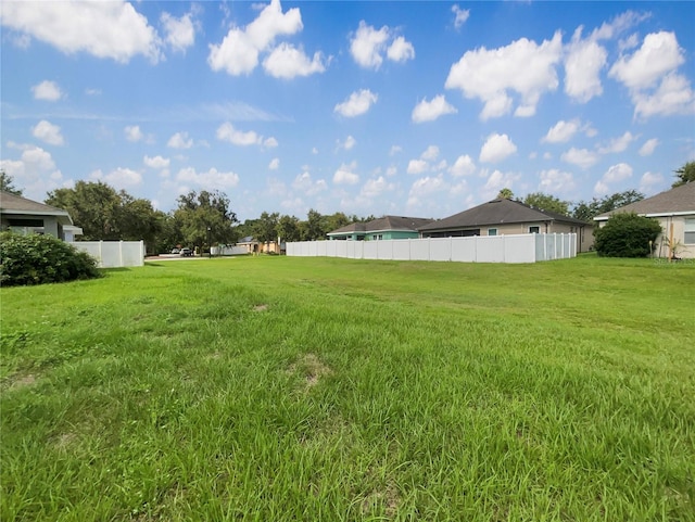 10429 Avelar Ridge Dr, Riverview, FL 33578 - view of yard