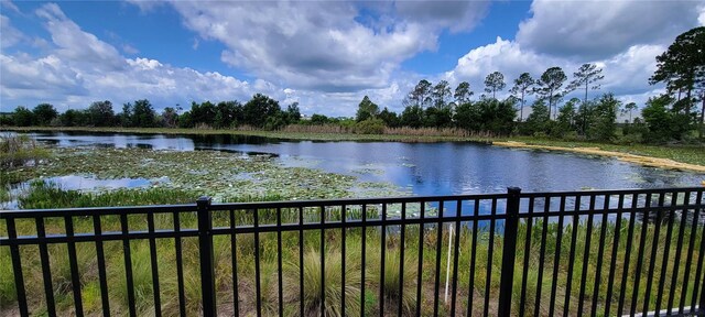 17319 Million Lakes Ct, Clermont, FL 34714 - photo 21