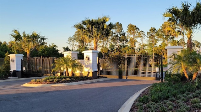 17319 Million Lakes Ct, Clermont, FL 34714 - photo 46
