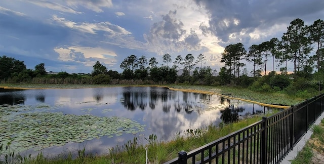 17319 Million Lakes Ct, Clermont, FL 34714 - photo 47