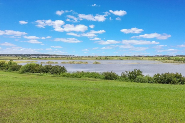 3240 Canna Lily Pl, Clermont, FL 34711 - water view