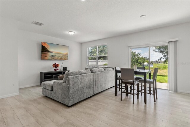827 Grandin St, Davenport, FL 33837 - living room with light wood-type flooring and baseboards