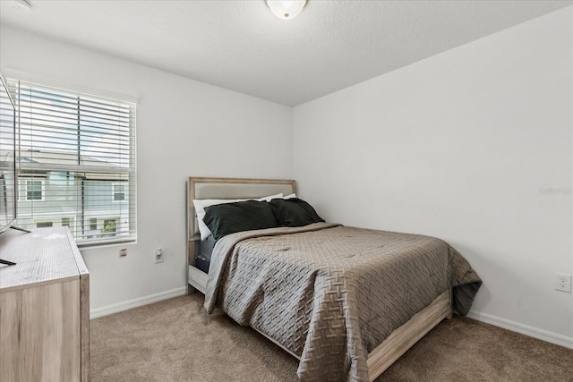 827 Grandin St, Davenport, FL 33837 - bedroom with light carpet