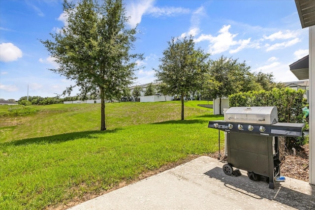 827 Grandin St, Davenport, FL 33837 - view of grassy yard