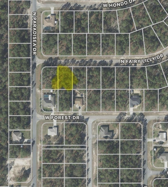 9317 N Fairy Lilly Dr, Citrus Springs, FL 34433