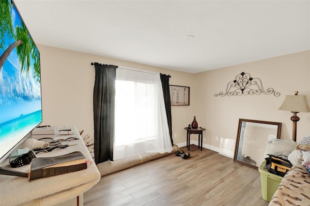 1000 Sal St, Ocoee, FL 34761 - living area featuring light wood-type flooring