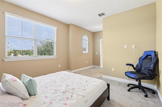 9207 Busaco Park Way, Winter Garden, FL 34787 - bedroom featuring light colored carpet and baseboards