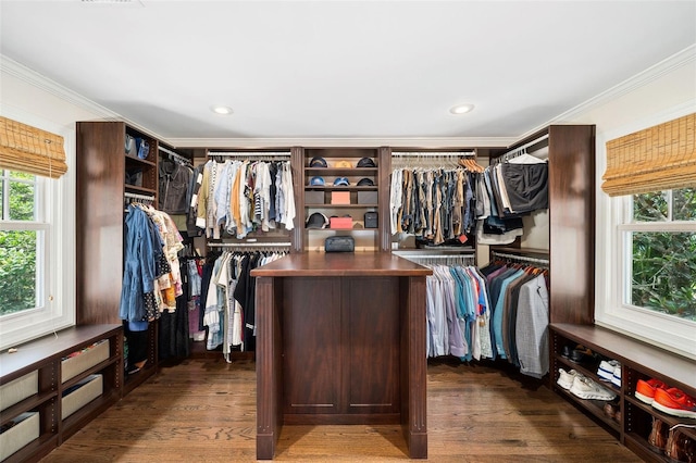 1011 Lake Davis Dr, Orlando, FL 32806 - walk in closet with dark wood finished floors