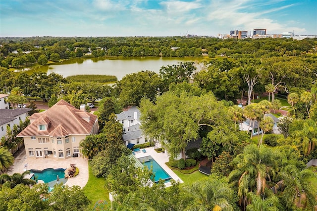 1011 Lake Davis Dr, Orlando, FL 32806 - bird's eye view of a pool area and a nearby body of water
