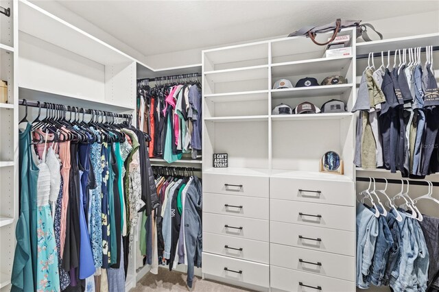 7603 Taormina Way, Clermont, FL 34714 - walk in closet featuring carpet