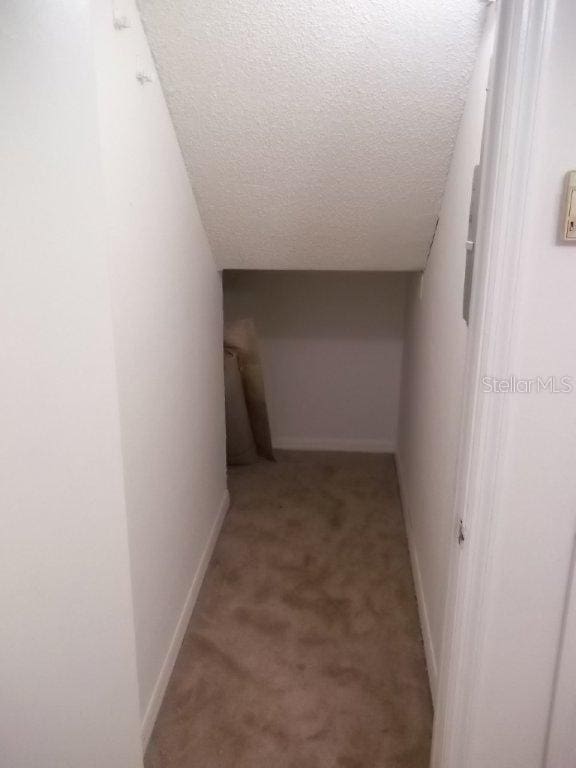5327 Bamboo Ct Unit 426, Orlando, FL 32811 - hallway featuring light colored carpet and a textured ceiling