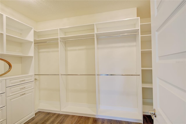 1774 Pasture Loop, Oviedo, FL 32765 - spacious closet featuring wood finished floors