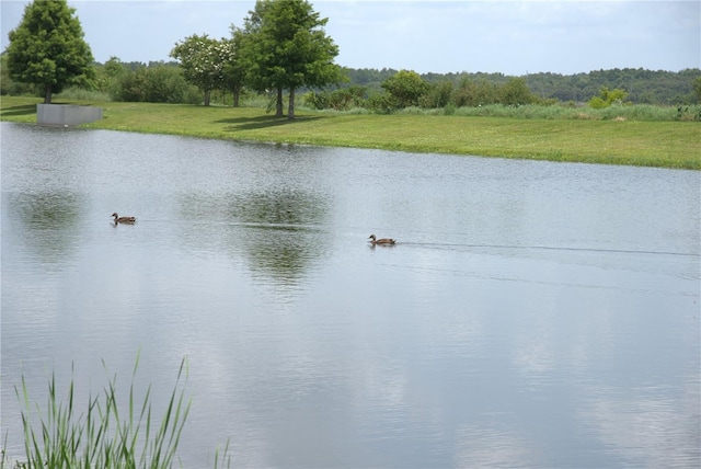 1774 Pasture Loop, Oviedo, FL 32765 - water view